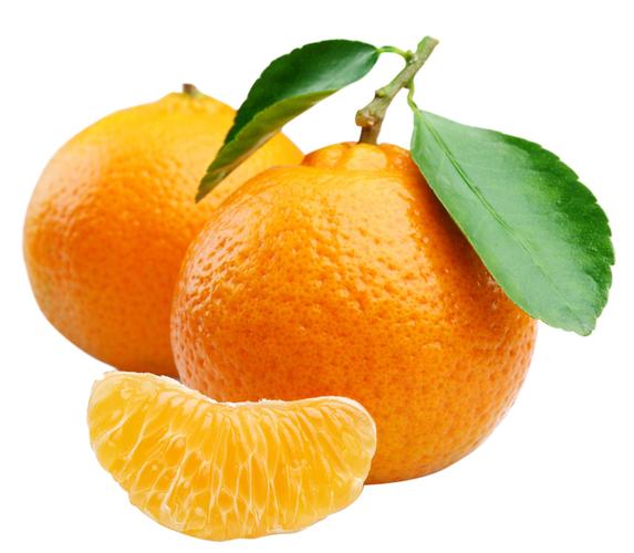  设计元素 产品实物 生物/静物 >新鲜水果橘子 千图网提供精美
