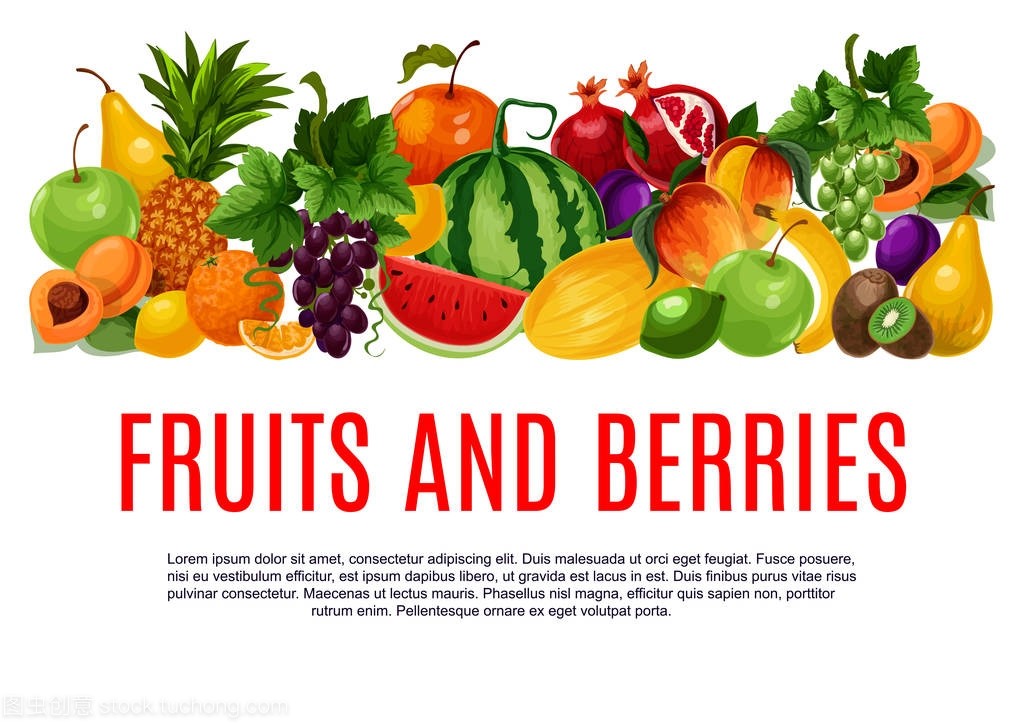 水果和浆果横幅与农产品边界